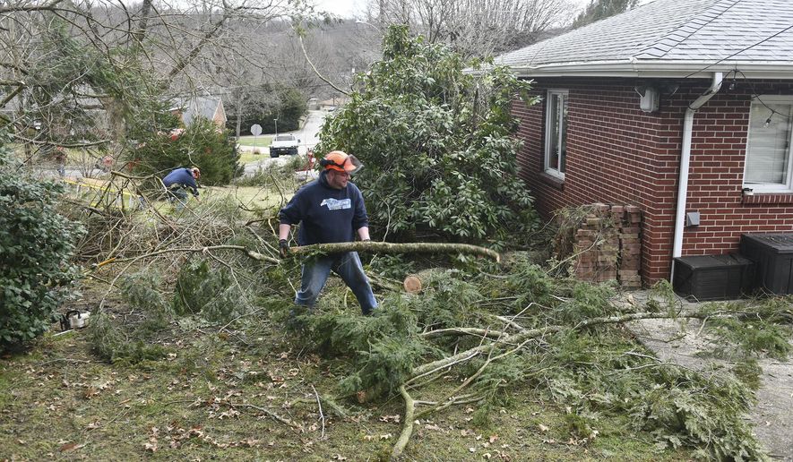 Drew Mitchell, an employee of Falling Timber Landscaping of Saxonburg, Pa., removed branches from a tree the fell on the roof of the home of Joe and Alise Zylinski Sunday, Feb. 24, 2019, in Natrona Heights, Pa. Mr. Zylinski said work was done on the roof on Saturday, Feb. 23, 2019. (Nate Guidry/Pittsburgh Post-Gazette via AP)