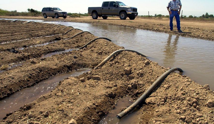 FILE - In this Sept. 3, 2002 file photo, farmer John Hawk looks over his land as his seed onion fields are watered in Holtville, Calif. Work on a multistate plan to address drought on the Colorado River in the U.S. West won't be done to meet a Monday, March 4, 2019 federal deadline. A California irrigation district with the highest-priority rights to the river water says it won't approve the plan without securing money to restore the state's largest lake. The Imperial Irrigation District wants $200 million for the Salton Sea, a massive, briny lake in the desert southeast of Los Angeles.(AP Photo/Reed Saxon, File)