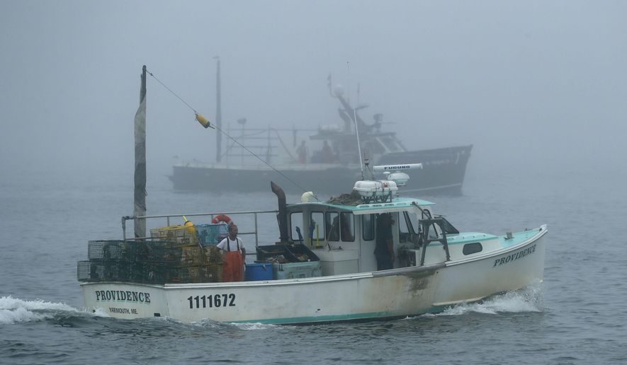 FILE-In this July 25, 2018 file photo, lobster boats head out to sea off of South Portland, Maine. Maine officials say lobstermen brought more than 119 million pounds (54 million kilograms) of the state's signature seafood ashore in 2018, with the second-highest value on record. (AP Photo/Robert F. Bukaty, FILE)
