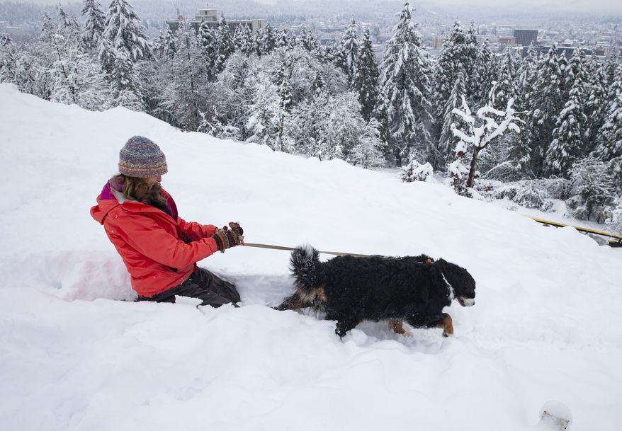 Missoula the dog, right, drags owner Susan Flynn down the side of Skinner Butte overlooking Eugene, Ore., Wednesday Feb. 27, 2019, after a second snow storm passed through the Willamette Valley. (Chris Pietsch/The Register-Guard via AP)