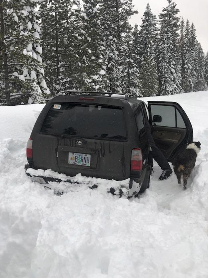 This photo released Saturday, March 2, 2019, by the Deschutes County Sheriff's Office, shows the scene where a man whose car was stranded in central Oregon snow for 5 days survived by eating taco sauce packets and starting the engine periodically to warm up near Bend, Ore. A snowmobiler found Jeremy Taylor, of Sunriver, on Friday, March 1 and a search and rescue team member who rode to him on a large snow tractor brought him out of the woods, said Sgt. William Bailey, the spokesman for the Deschutes County Sheriff's Office. He told his rescuers he and his dog, Ally, became stuck in deep snow on a U.S. Forest Service road. (Deschutes County Sheriff's Office via AP)