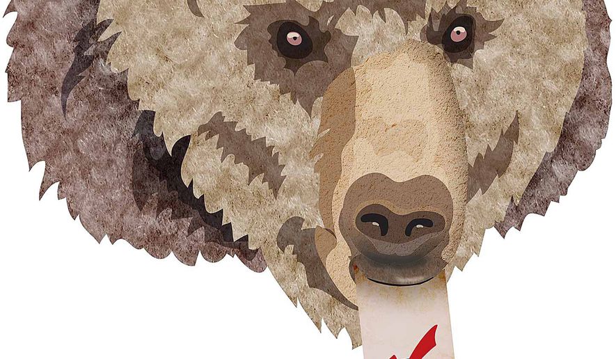 Bear in the Ballot Box Illustration by Greg Groesch/The Washington Times