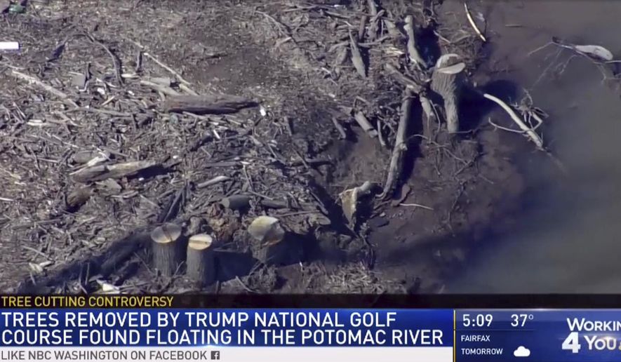 This image provided by WRC/NBC4 Washington on Friday, March 1, 2019, shows trees that were cut down at the Trump National Golf Course in Sterling, Va. County officials in northern Virginia are investigating whether the Trump National Golf Club illegally cut a dozen trees from the Potomac River shoreline and dumped them in the river. Officials in Loudoun County told news outlets Friday that removing trees from the flood plain requires a permit, and the county is investigating whether the local ordinance was broken. (WRC/NBC4 Washington via AP)
