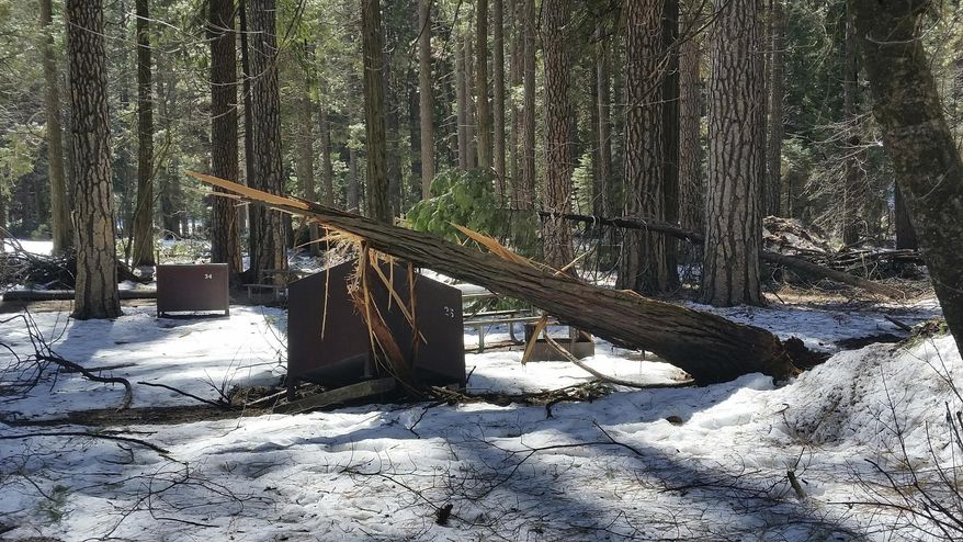 In this photo released Wednesday, March 13, 2019, by the National Park Service, is a damaged bear box after the recent heavy snowpack in Yosemite National Park, Calif. The park announced that there will be late seasonal openings to facilities due to the exceptionally heavy snowpack and the subsequent extensive damage to many park facilities. (NPS Photo via AP)