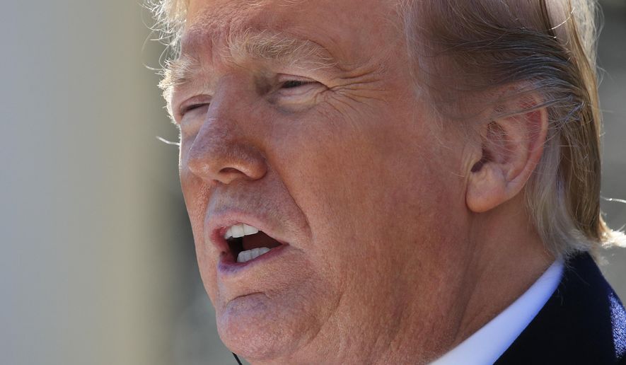 President Donald Trump speaks during a news conference on the Rose Garden of the White House with visiting Brazilian President Jair Bolsonaro, March 19, 2019, in Washington. (AP Photo/Manuel Balce Ceneta)