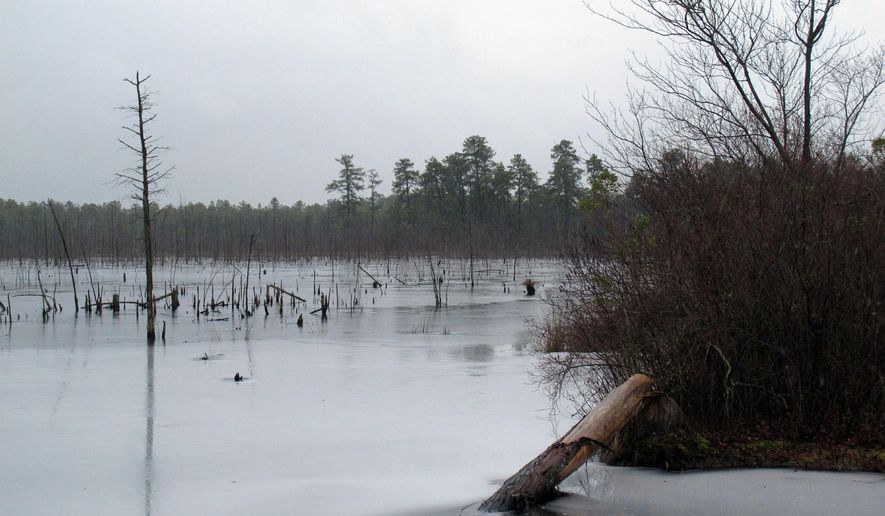 This Jan. 6, 2014 photo shows a section of the Pinelands region in Lakehurst N.J. On March 25, 2019, the New Jersey Department of Environmental Protection ordered five companies that make chemicals used to stain-proof clothing and make non-stick cookware to fund a plan to clean up contamination of the state's environment, including waterways, that have been tainted by the presence of the chemicals. (AP Photo/Wayne Parry)
