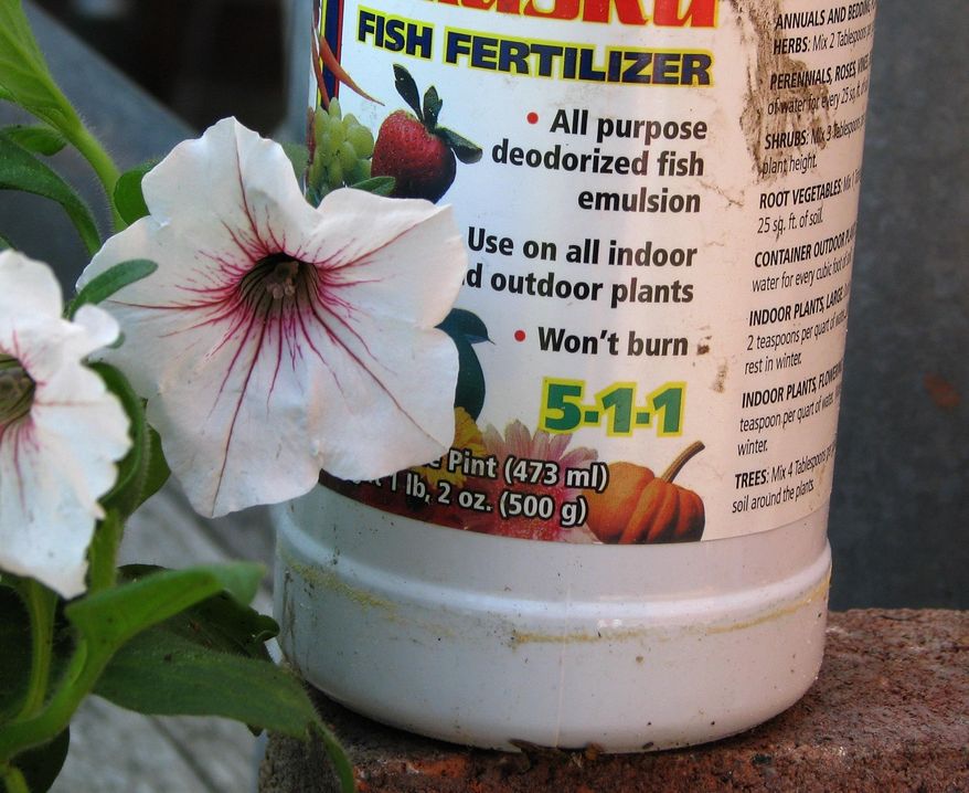 This undated photo shows houseplant fertilizer in New Paltz, N.Y. Houseplants can be fertilized in a variety of ways, and a soluble, organic fertilizer derived from fish is one such way. (Lee Reich via AP)