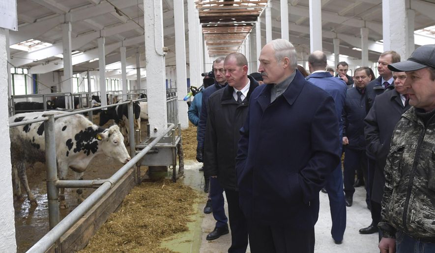In this Tuesday, March 26, 2019 photo, Belarus President Alexander Lukashenko, center, surrounded by officials, visits a local farm in the village of Slizhi, 240 km (150 miles) north-east of Minsk, Belarus. Alexander Lukashenko has fired three officials including a governor for keeping cows in poor conditions at a local farm. (Andrei Stasevich/BelTA Pool Photo via AP)