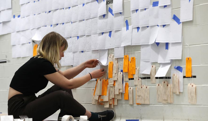 Lucy Cahill applies a toe tag to a wall in Ann Arbor, Mich., Wednesday, March 27, 2019. The giant map of Arizona in the hallway of a University of Michigan classroom building steadily fills with orange and tan tags. On closer inspection, they are toe tags, the informational cards traditionally attached to bodies in morgues, representing the roughly 3,000 people who have perished in the past two decades illegally crossing from Mexico in the U.S. in the Sonoran Desert. The tan tags are for those whose remains have been identified; the orange are unidentified. (AP Photo/Paul Sancya)