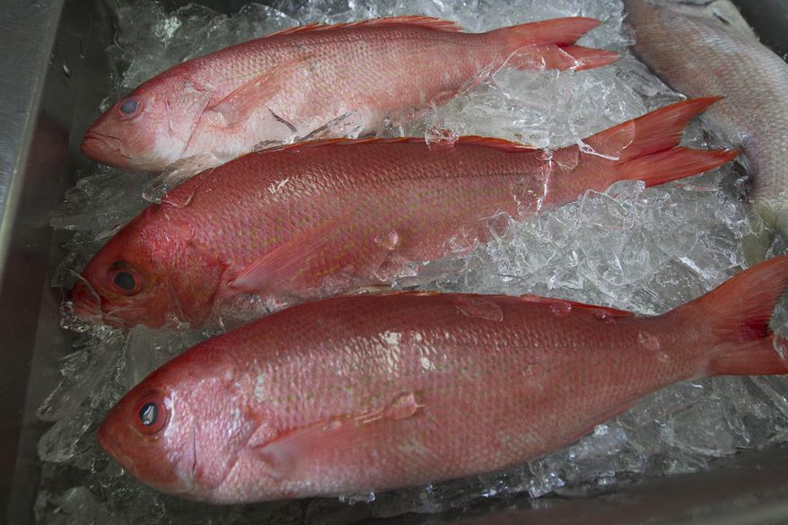 FILE - In this May 16, 2012, file photo, fresh red snapper is iced and ready for sale at Aquila Seafood in Bon Secour, Ala. The group that manages Gulf of Mexico fishing in federal waters says states can keep managing anglers' catch of red snapper. The popular sport and table fish is still recovering from nearly disastrous overfishing. The Gulf of Mexico Fisheries Management Council announced the decision Thursday, April 4, 2019 in Biloxi, Mississippi. (AP Photo/Dave Martin, File)