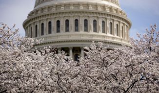 In this March 30, 2019, file photo the Dome of the U.S. Capitol Building is visible as cherry blossom trees bloom on the West Lawn in Washington. (AP Photo/Andrew Harnik, File) **FILE**