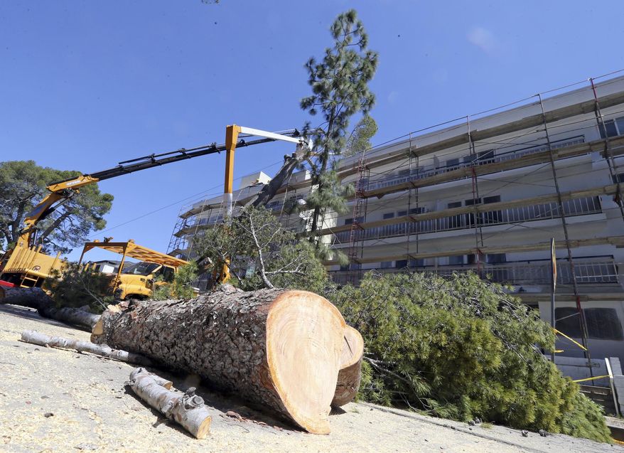 Los Angeles city crews work to remove a large tree that strong winds toppled into an apartment building under renovation on the Westside of Los Angeles Wednesday, April 10, 2019. The Los Angeles Department of Water and Power says subsiding winds have improved working conditions for crew restoring power to thousands of customers who lost service in the the overnight windstorm. (AP Photo/Reed Saxon)