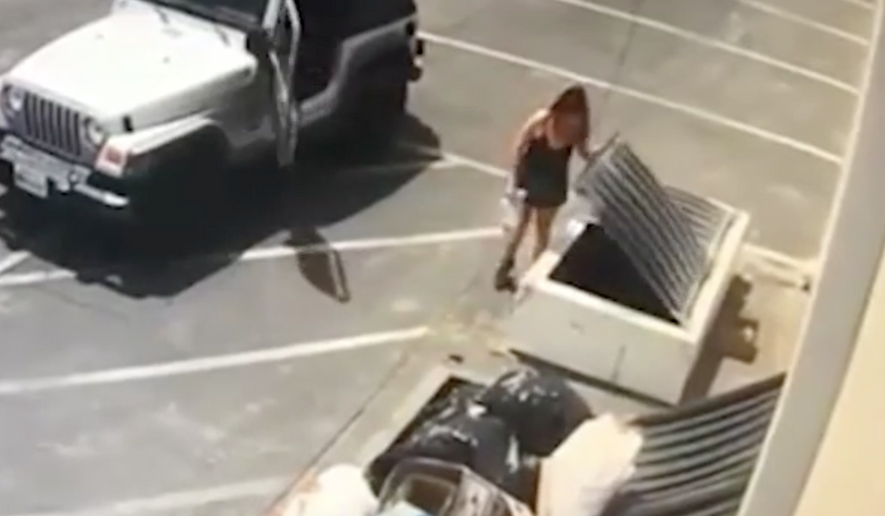 The Riverside County Department of Animal Services released surveillance video of a woman tossing seven newborn puppies into a dumpster in Southern California.