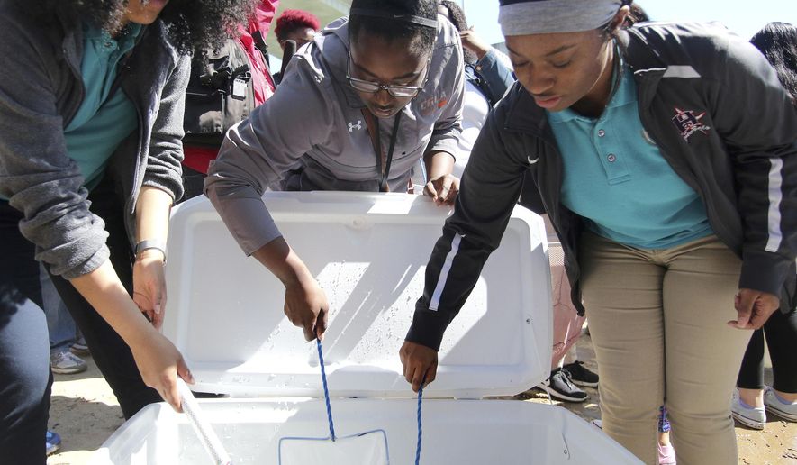 In this April 10, 2019, photo Avery Love, a freshman at CGLA, Mecca Sales, a freshman at CGLA, and America Jackson, a junior at CGLA, net sturgeon to release into the Tennessee River from Coolidge Park in Chattanooga, Tenn. (Erin O. Smith/Chattanooga Times Free Press via AP)