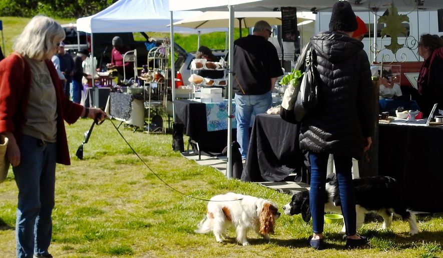 This April 27, 2019 photo shows two dogs getting acquainted at the Bayview Farmers Market near Langley, Wash. Bayview, like many farmers markets across the nation, has posted strict rules aimed at preventing dogs from approaching their craft, food and produce displays, citing breakage, safety and sanitary concerns. (AP Photo/By Dean Fosdick)
