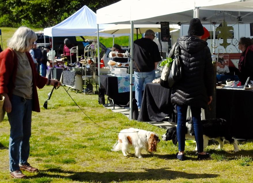 This April 27, 2019 photo shows two dogs getting acquainted at the Bayview Farmers Market near Langley, Wash. Bayview, like many farmers markets across the nation, has posted strict rules aimed at preventing dogs from approaching their craft, food and produce displays, citing breakage, safety and sanitary concerns. (AP Photo/By Dean Fosdick)