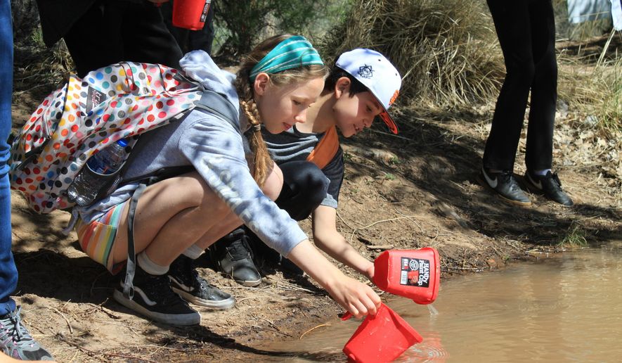 Students release various species of native fish during a field trip to the banks of the Rio Grande in Albuquerque, N.M., on Thursday, May 2, 2019. The Rio Grande is rebounding after a year in which it nearly went dry through its most populated stretch in New Mexico. Federal biologists say this year's flows have improved and the fish stand a good chance. (AP Photo/Susan Montoya Bryan)