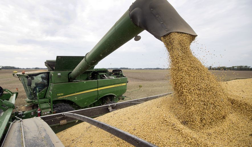 FILE - In this Sept. 21, 2018, file photo, Mike Starkey offloads soybeans from his combine as he harvests his crops in Brownsburg, Ind. The escalating trade war between the U.S. and China is causing anxiety among rural farmers and bankers. Upper Midwest soybean farmer Jamie Beyer says these are days of "a little bit of panic." Minnesota agriculture lender Kent Thiesse says most farmers were able to get financing for spring planting, but more federal aid might be needed to head off "serious losses" this fall. (AP Photo/Michael Conroy, File)