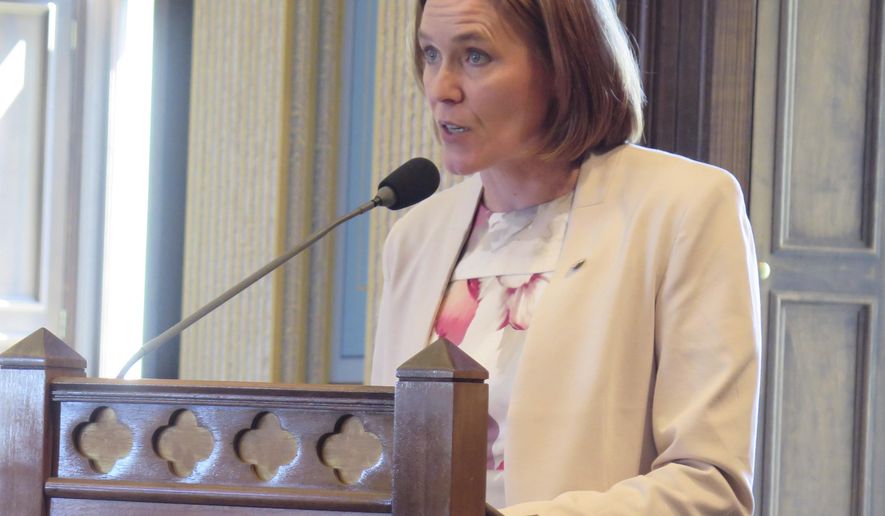 State Sen. Winnie Brinks, D-Grand Rapids, speaks in opposition to anti-abortion legislation on Tuesday, May 14, 2019, at the Capitol in Lansing, Mich. Democratic Gov. Gretchen Whitmer vows to veto the bills. (AP Photo/David Eggert)