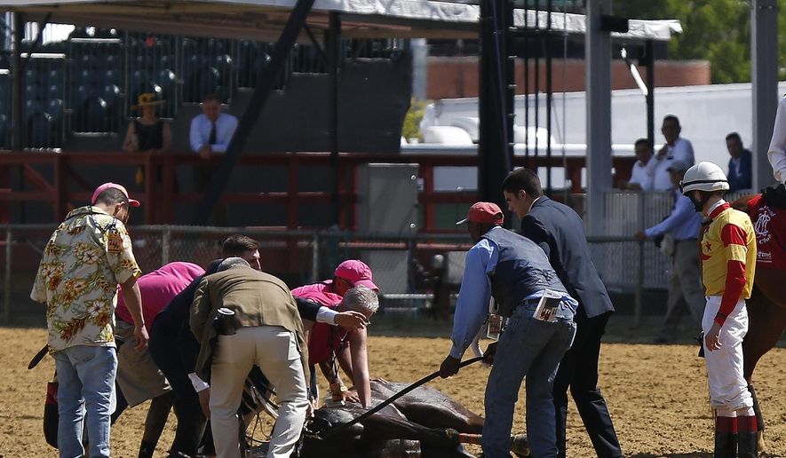 Jockey Trevor McCarthy, right, looks on as track officials tend to his ride Congrats Gal after the horse collapsed after the eighth horse race at Pimlico Race Course, Friday, May 17, 2019, in Baltimore. (AP Photo/Lauren Helber)