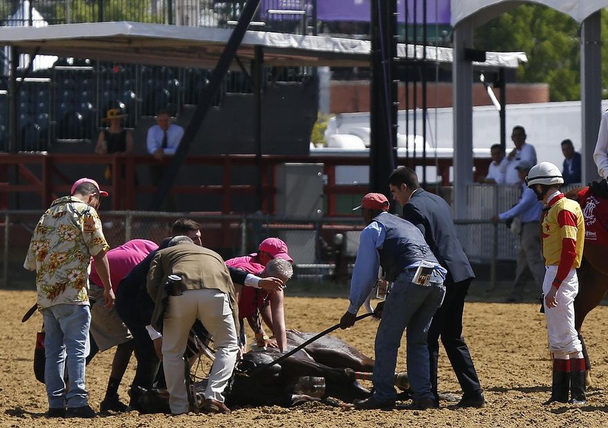 Jockey Trevor McCarthy, right, looks on as track officials tend to his ride Congrats Gal after the horse collapsed after the eighth horse race at Pimlico Race Course, Friday, May 17, 2019, in Baltimore. (AP Photo/Lauren Helber)