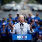 Democratic presidential candidate, former Vice President Joe Biden during a campaign rally at Eakins Oval in Philadelphia, Saturday, May 18, 2019. (AP Photo/Matt Rourke)