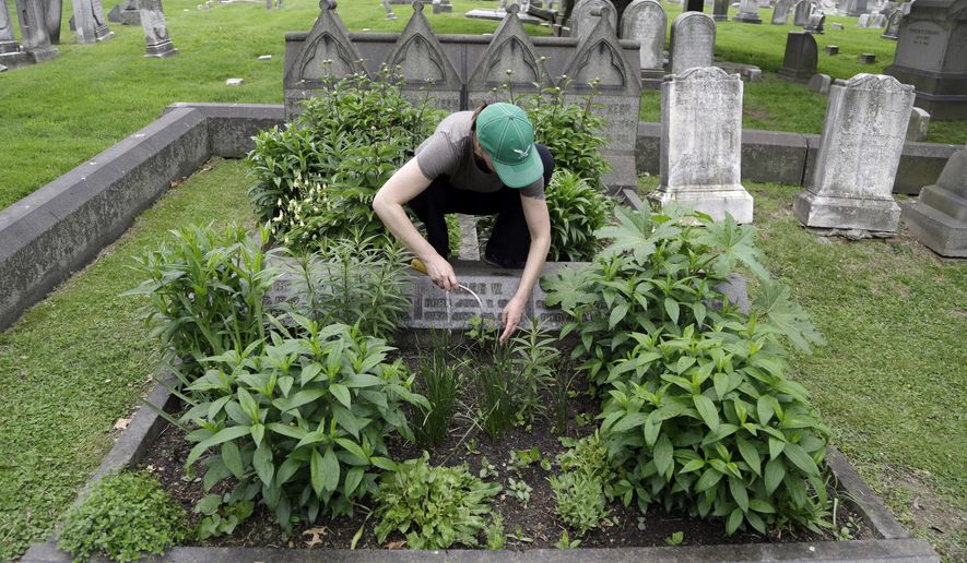 Volunteer Jennifer Walker clears an area as she plants on the Keen family plot at the Woodlands Cemetery Saturday May 4, 2019 in Philadelphia. The cemeteries of yore existed as much the living as for the dead. And a handful of these 19th century graveyards are restoring the bygone tradition of cemetery gardening. (AP Photo/Jacqueline Larma)
