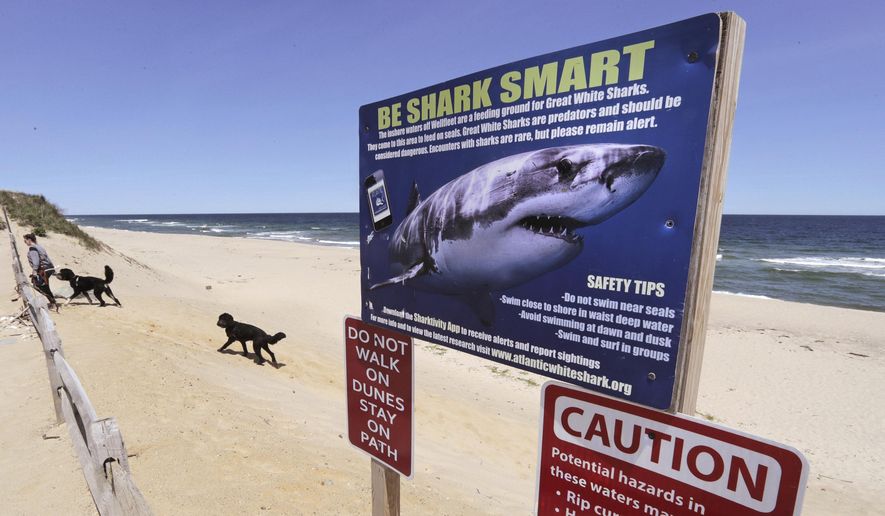 In this May, 22, 2019, photo, a woman walks with her dogs at Newcomb Hollow Beach, where a boogie boarder was bitten by a shark and later died of his injuries the previous summer, in Wellfleet, Mass. Cape Cod beaches open this holiday weekend, just months after two shark attacks, one of which was fatal, rattled tourists, locals and officials. Some precautionary new measures, such as emergency call boxes, have yet to be installed along beaches where great whites are known to frequent. (AP Photo/Charles Krupa) **FILE**