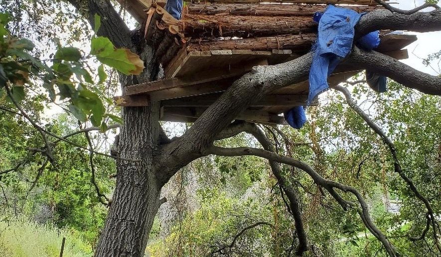 This Wednesday, May 22, 2019, photo released by the Pomona Police Department shows a treehouse in Pomona, Calif. Police pursuing a burglary suspect in a Southern California suburb found him living in an elaborate treehouse hidden on a hillside. The Pomona Police Department said a tipster reported Tuesday night that someone was living in the treehouse. Officers in a helicopter used heat-sensing equipment to locate 56-year-old Mark Duda in what police described as "a very well built and modern" tree house. It was equipped with a fire pit and barbecue and had a sweeping view of the mountains in the distance. (Pomona Police Department via AP)