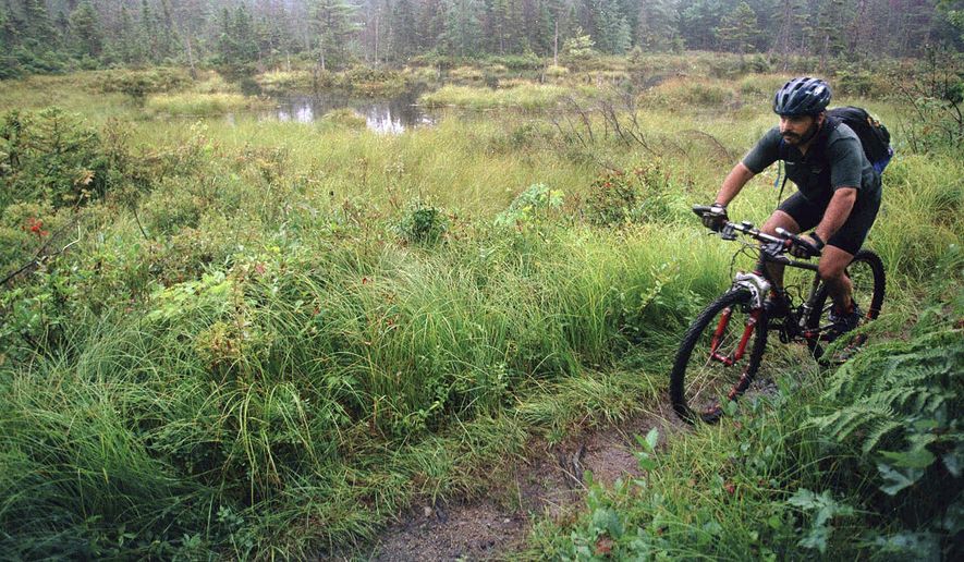 FILE - In this Aug. 26, 1999 file photo, a rider peddles his mountain bike through the White Mountain National Forest in Bartlett, N.H. Mountain bikers will get the chance to see much of New England during the summer of 2019, as a new Borderlands initiative brings together more than a half-dozen trail systems covering 250 miles across more than three states and parts of Canada. (AP Photo/Jim Cole, File)