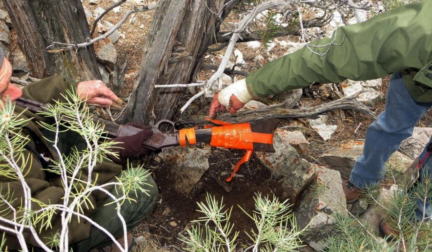 FILE - This image provided by the Great Basin National Park shows a Winchester Model 1873 rifle found in Nevada. The gun made in 1882 was found propped against a juniper tree in Great Basin National Park in November during an archaeological survey. Park spokeswoman Nichole Andler says officials may never know how long the rifle had been standing there, but it&#x27;s possible it had been left there in the 1880s. (Great Basin National Park via AP, File)