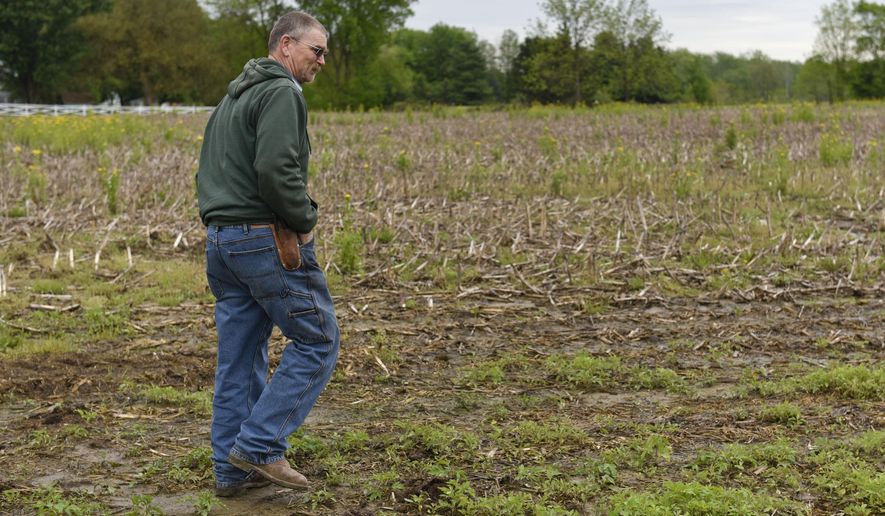 In this May 21, 2019 photo, farmer Bob Nunemaker walks through muddy fields on his property near Goshen, Ind. Steady rain through April and May has kept him from planting corn and soybeans on his 1200 acres of farmland. "This field is one of the first or second fields we plant," he said. "We had this planted by the 26th or 27th of April last year." (Ben Mikesell/The News via AP)