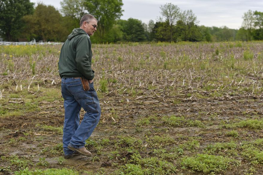 In this May 21, 2019 photo, farmer Bob Nunemaker walks through muddy fields on his property near Goshen, Ind. Steady rain through April and May has kept him from planting corn and soybeans on his 1200 acres of farmland. "This field is one of the first or second fields we plant," he said. "We had this planted by the 26th or 27th of April last year." (Ben Mikesell/The News via AP)