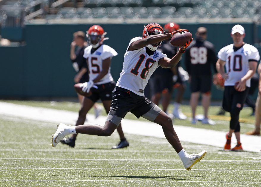 Cincinnati Bengals wide receiver AJ Green (18) catches a pass during an NFL football minicamp Tuesday, June 11, 2019, in Cincinnati. (AP Photo/Gary Landers)