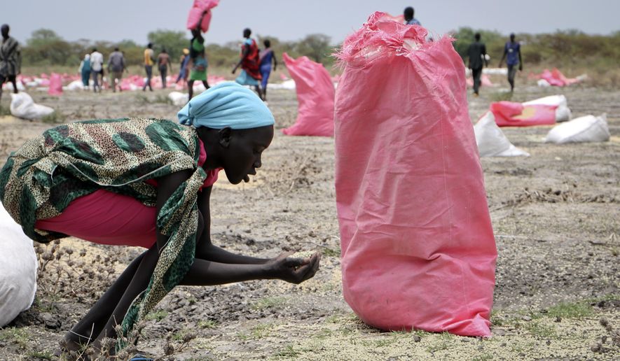 In this Wednesday, May 2, 2018, photo, a woman scoops fallen sorghum grain off the ground after an aerial food drop by the World Food Programme (WFP) in the town of Kandak, South Sudan. A record number of people in South Sudan face a critical lack of food according to a new joint report by the government and the United Nations released Friday, June 14, 2019, that says almost seven million people, or more than 60 percent of the population, are at risk. (AP Photo/Sam Mednick) **FILE**