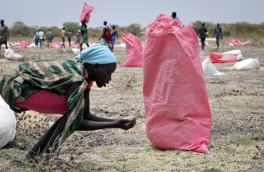 In this Wednesday, May 2, 2018, photo, a woman scoops fallen sorghum grain off the ground after an aerial food drop by the World Food Programme (WFP) in the town of Kandak, South Sudan. A record number of people in South Sudan face a critical lack of food according to a new joint report by the government and the United Nations released Friday, June 14, 2019, that says almost seven million people, or more than 60 percent of the population, are at risk. (AP Photo/Sam Mednick) **FILE**