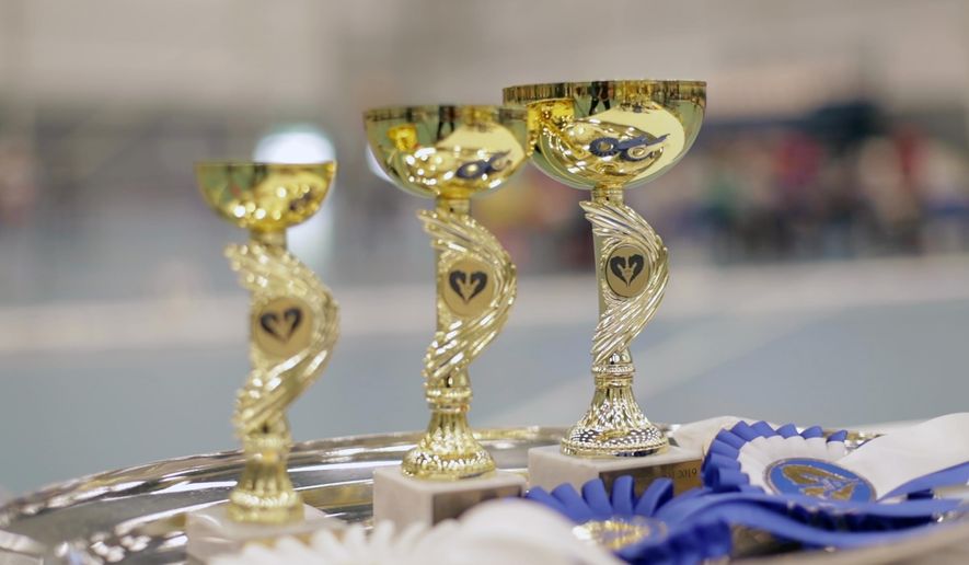 Awards stand on a tray ahead of the awarding ceremony of the 8th Hobby Horse championships in Seinajoki, Finland, on Saturday, June 15, 2019. More than 400 hobby horse enthusiasts took part in the show, competing on stylish toy horses in various events inspired by real equestrian events. (AP Photo/from APTN Video)