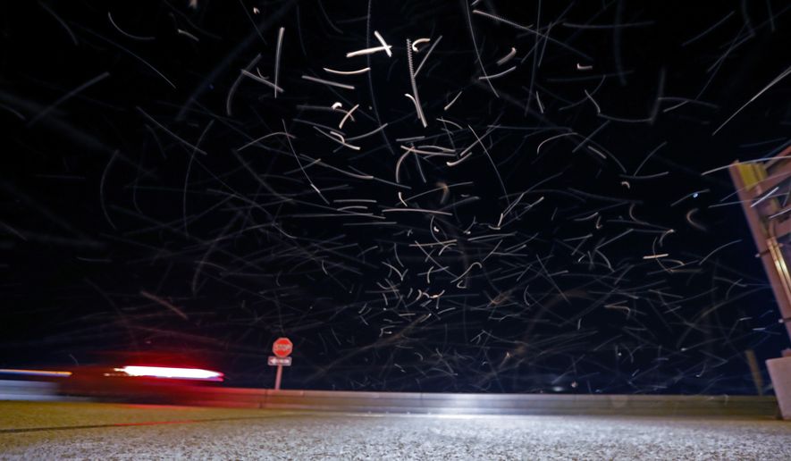 In this time exposure of 1/10 second, a swarm of blind mosquitoes, or aquatic midges, is seen as traffic drives on the Causeway Bridge, with dead ones on the pavement, over Lake Pontchartrain, in Jefferson Parish, outside New Orleans, Tuesday, June 18, 2019. (AP Photo/Gerald Herbert)