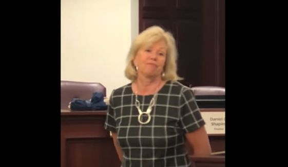 Illinois State Sen. Julie Morrison tells a constituent that perhaps she and her fellow Democrats should consider a gun &quot;confiscation&quot; plan in response to pointed gun-rights questions at a June 11, 2019 town hall event. (Image: YouTube, Illinois State Rifle Association video screenshot) 