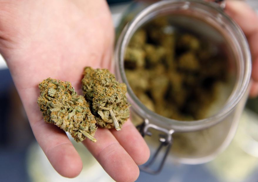 FILE - In this Nov. 27, 2015, file photo, a bud tender holds two marijuana buds on his fingers on the way to a customer at the Denver Kush Club in north Denver. The Democratic-controlled House has voted to block the Justice Department from interfering with states that have legalized marijuana for recreational use. The bipartisan 267-165 vote on June 20, 2019, represents a breakthrough for advocates of legalizing pot, who have unsuccessfully pressed the idea in the past under GOP control of the House. (AP Photo/David Zalubowski, File)