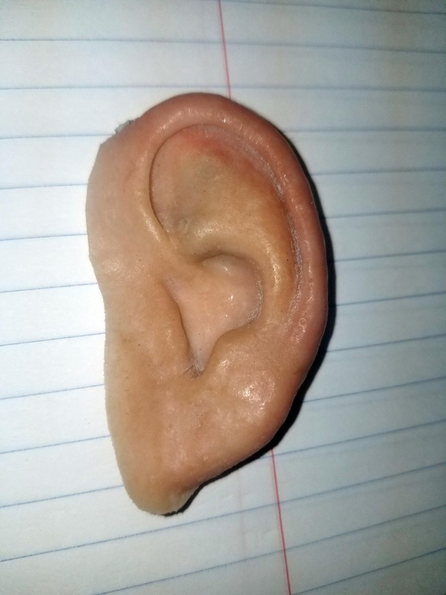 In this photo made available by the City of Holmes Beach Police Department, a prosthetic ear is displayed, Thursday, June 20, 2019. The ear was found in the sand after the "World's Strongest Man" contest on Saturday, June 15. Prosthetic ears can cost thousands of dollars. (City of Holmes Beach Police Department via AP)
