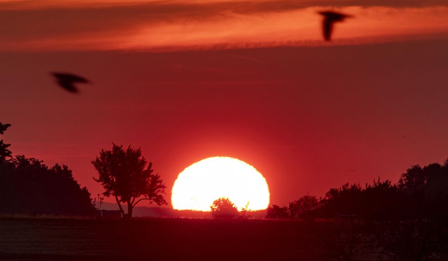 Birds fly by as the sun rises in Frankfurt, Germany, Monday, June 24, 2019. Germany expects hot temperatures during the next days. (AP Photo/Michael Probst)
