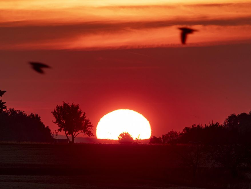 Birds fly by as the sun rises in Frankfurt, Germany, Monday, June 24, 2019. Germany expects hot temperatures during the next days. (AP Photo/Michael Probst)