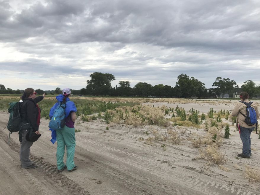 In a Friday, June 14, 2019 photo, a team of archaeologists surveys a flooded farm in Waterloo, Neb. The team was surveying flooded farms to determine whether they have any historic significance before clearing them to receive federal funding.(Chris Peters/The World-Herald via AP)