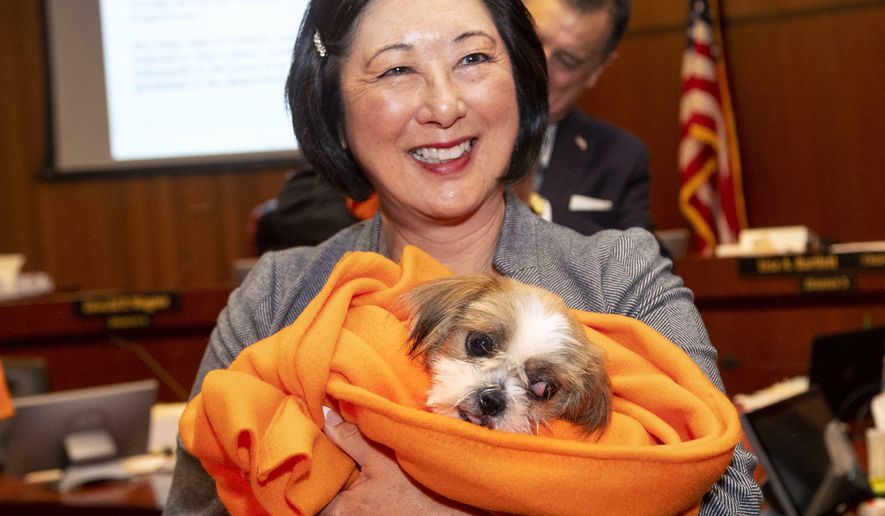 Orange County Supervisor Lisa Bartlett holds one of 50 Shih Tzus that are available for adoption during an announcement at the supervisors meeting, Tuesday, June 25, 2019, in Santa Ana, Calif. The dogs were among some 140 rescued late last month from a home in Orange. Authorities say the home and the dogs were filthy. (Paul Bersebach/The Orange County Register via AP)