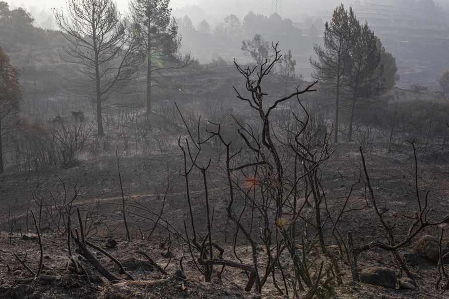 The burned landscape after a wildfire in Torre de l'Espanyol, near Tarragona, Spain, Thursday, June 27, 2019. The Catalonia region of Spain has seen its biggest forest fire this year, with more than 1,200 hectares (3,000 acres) believed to have been burned and hundreds of people evacuated.(AP Photo/Jordi Borras)