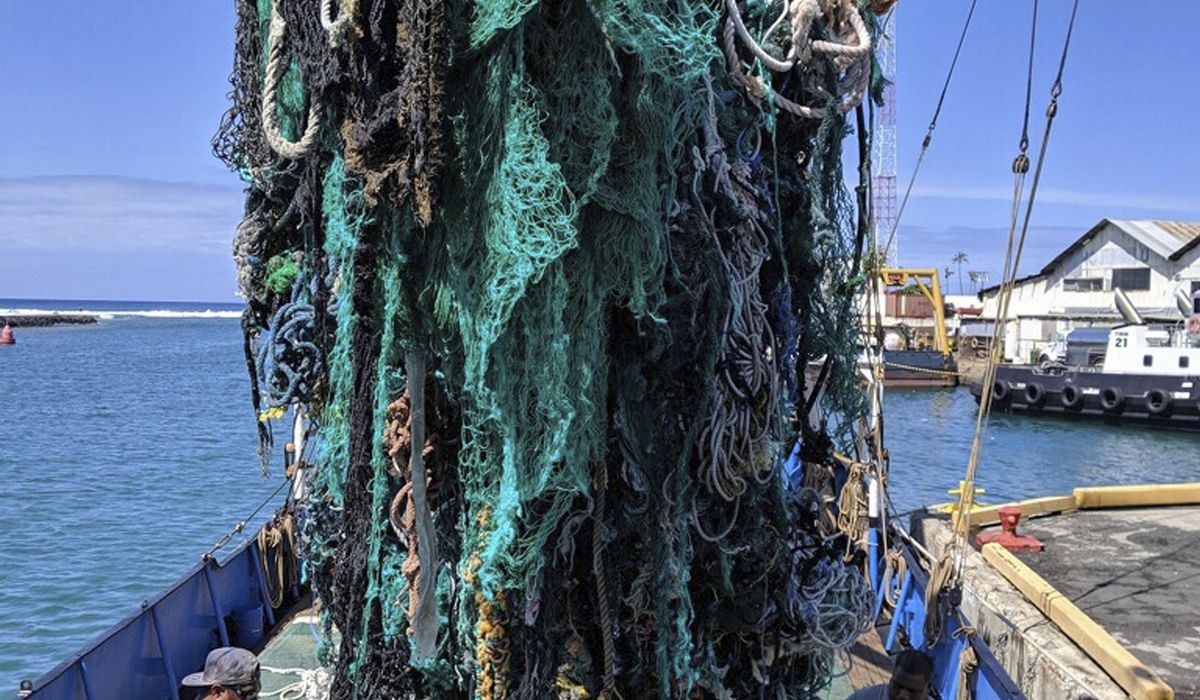 NextImg:Coastal life forms thriving on debris in Great Pacific Garbage Patch