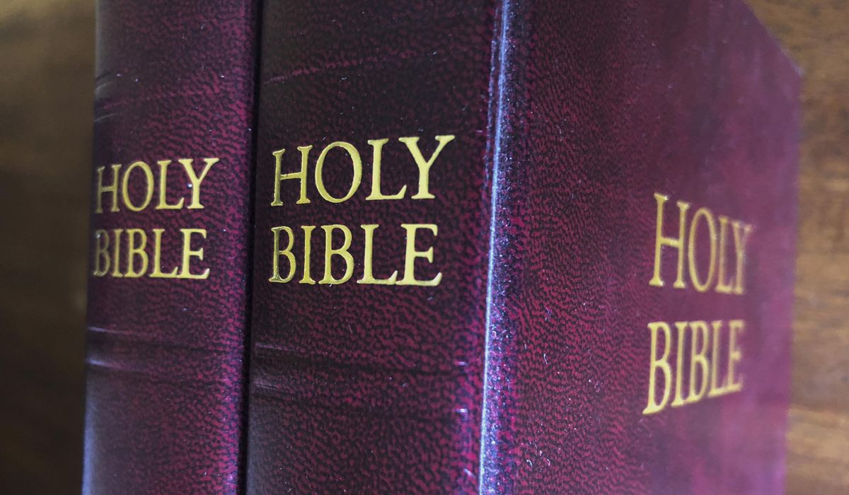 NextImg:Percentage of adults who believe God created humans reaches 40-year low, Gallup poll finds