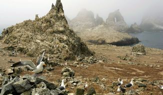FILE - In this July 8, 2006, file photo, gulls nest near the North Landing area of the Farallon Islands National Refuge, Calif. The California Coastal Commission on Wednesday, July 10, 2019, will hear public comment on a federal plan to drop 1.5 tons of rat poison on the Farallon Islands in an effort to eradicate a mice infestation, a proposal that is drawing criticism. (AP Photo/Ben Margot, File)