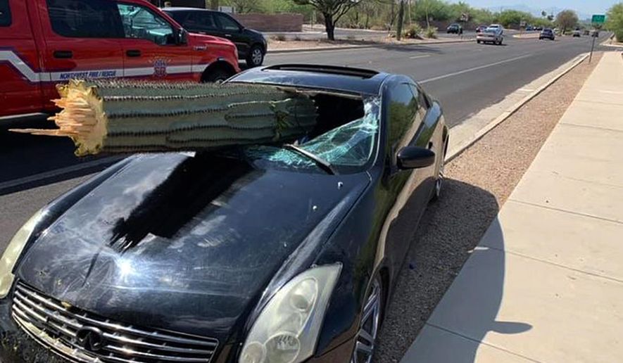 This photo provided by the Northwest Fire District shows where a driver escaped injury when his car's windshield was pierced by the trunk of a saguaro cactus during a wreck Wednesday, July 10, 2019 on the outskirts of Tucson, Ariz. Pima County sheriff's Deputy Daniel Jelineo said the black sports car struck the cactus while crossing a median before ending up on the other side of a road and that the cactus ended up slamming into the car's windshield. (Northwest Fire District via AP)